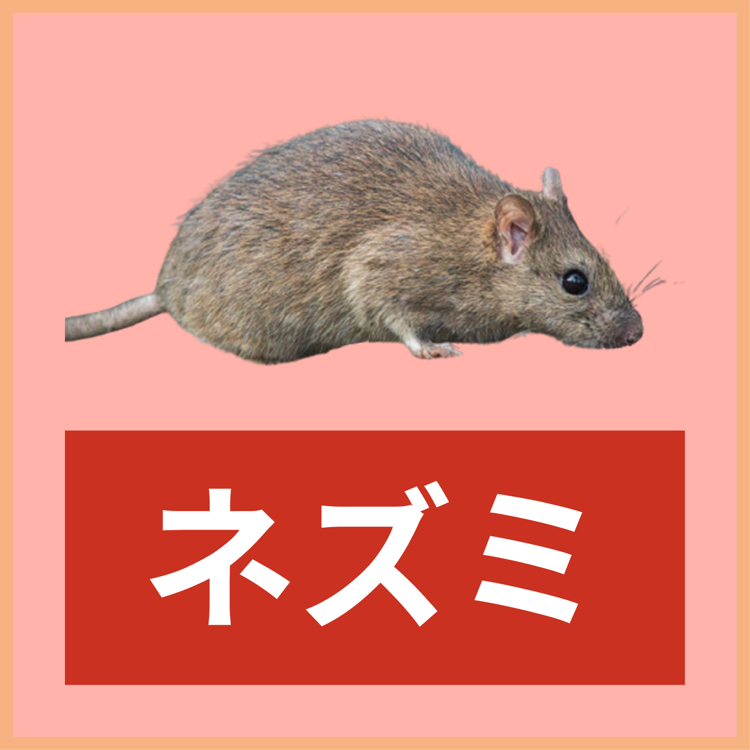 ネズミ"