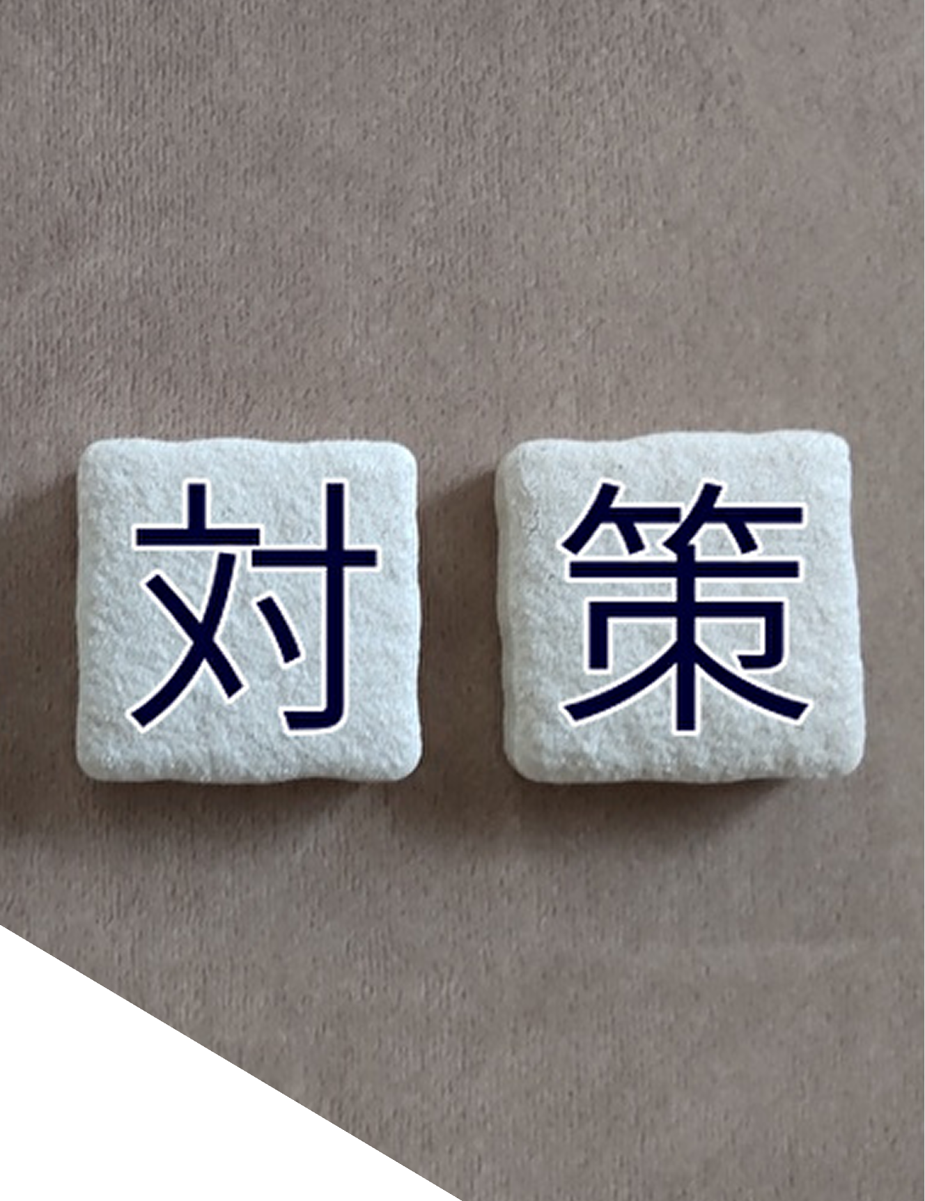 駆除施工